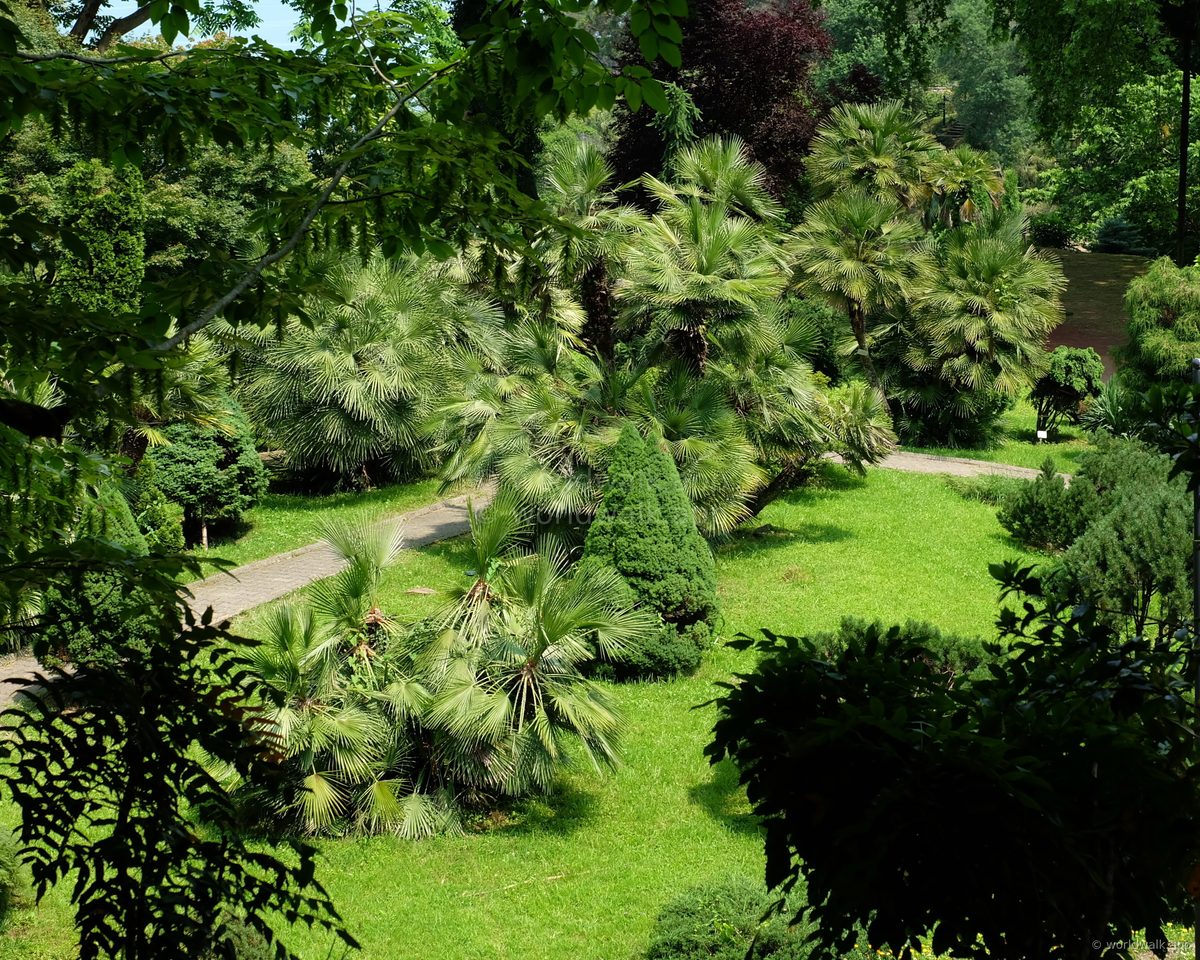 Batumi Botanical Garden — north of the city, requires transport, worth a dedicated half-day