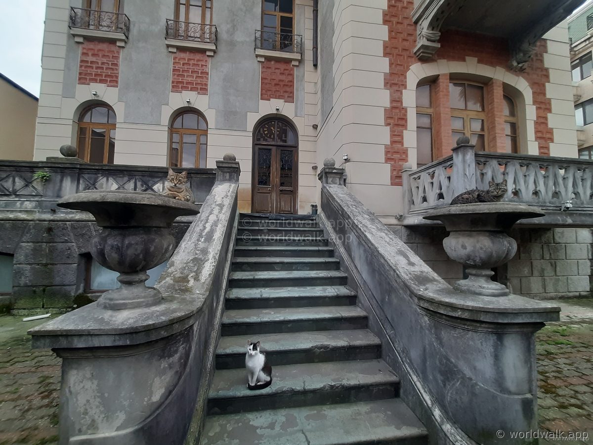 Historic building in Batumi Old Town with cats on the steps — typical courtyard architecture