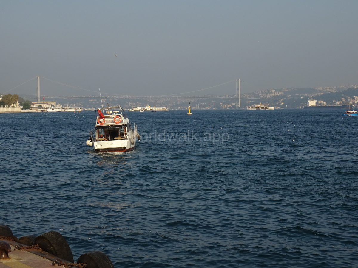 Bosphorus Cruise or Ferry 2026