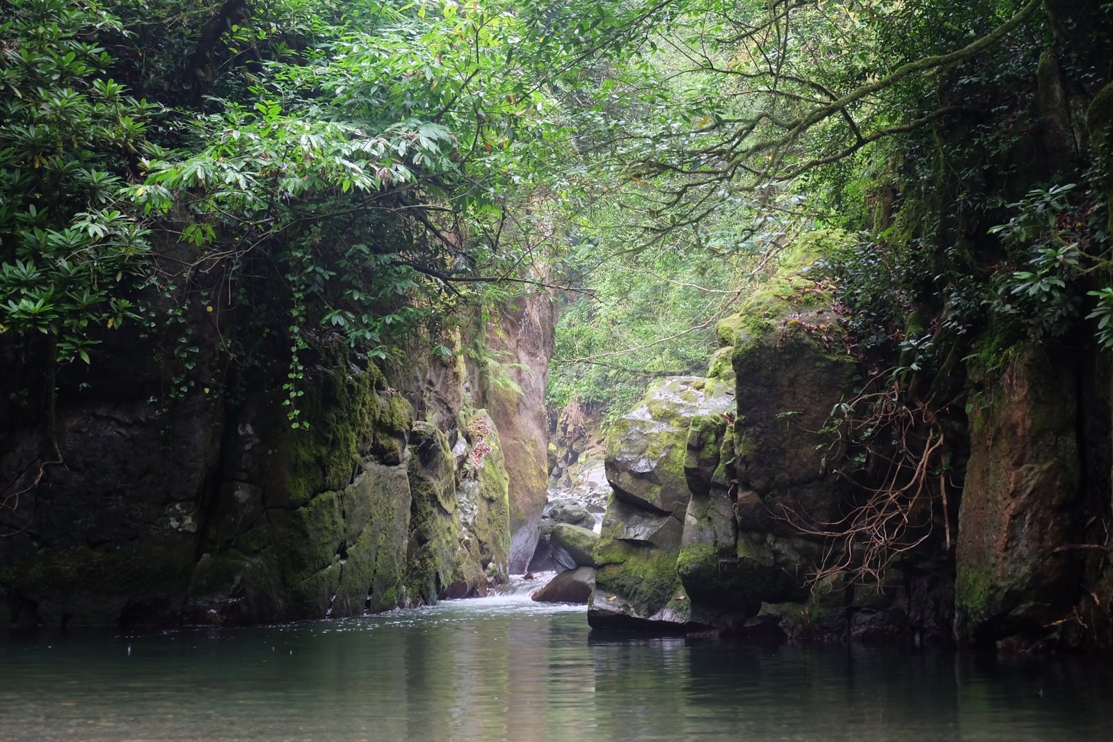 River in a rocky gorge in Mtirala National Park