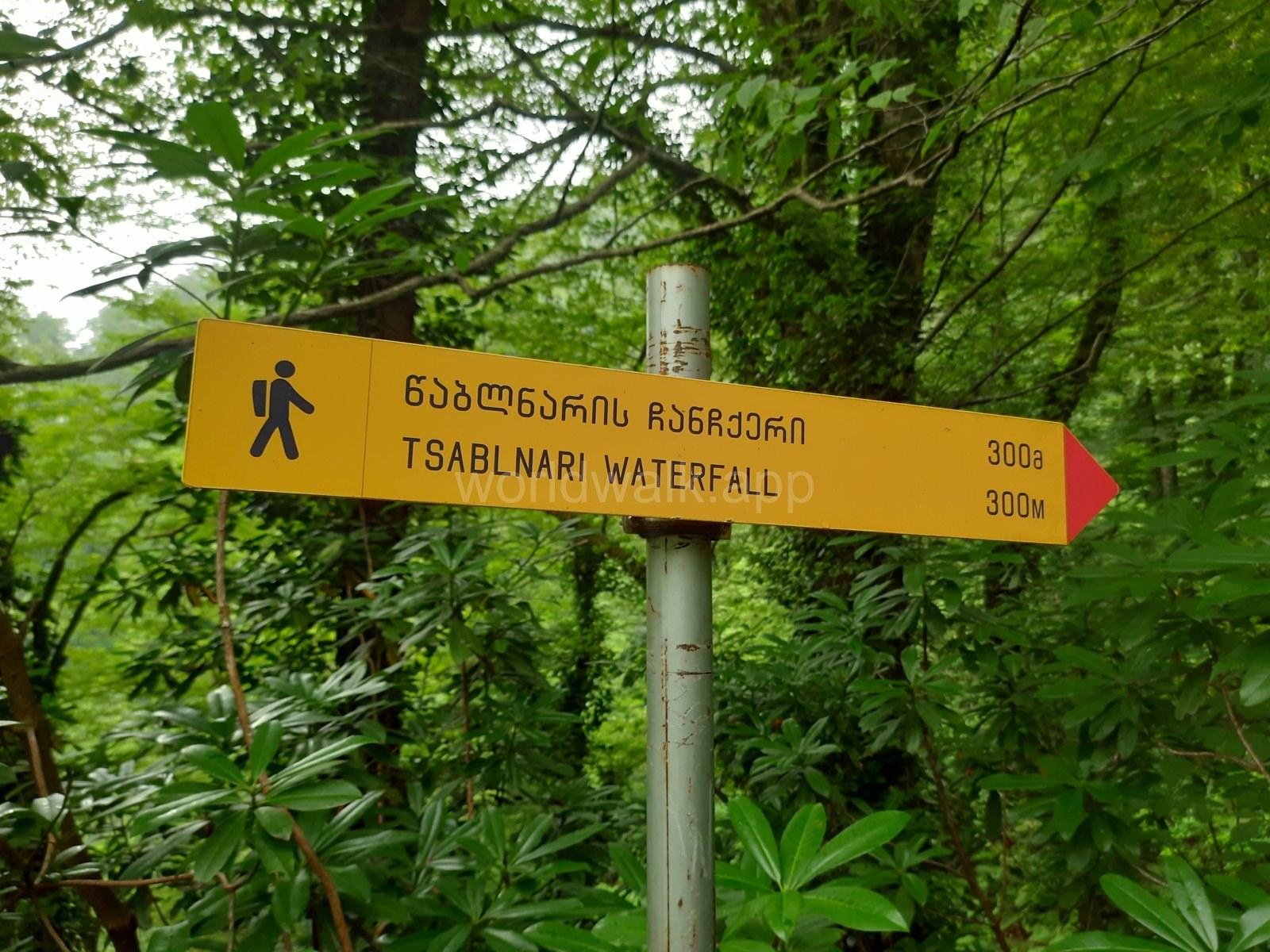 Sign to Tsablnari Waterfall on a forest trail in Mtirala
