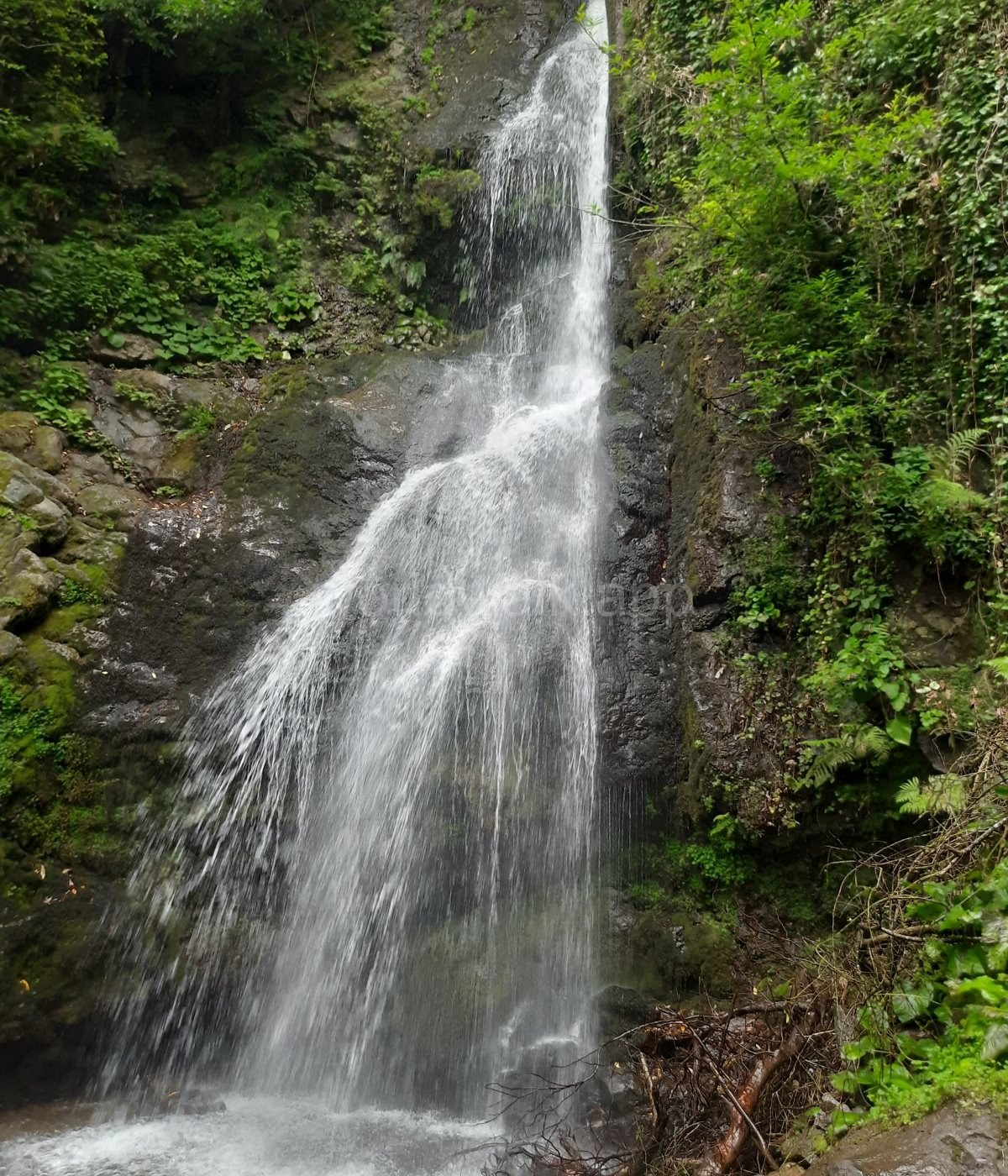 Waterfall among mossy rocks in Mtirala National Park